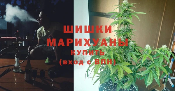 прущие грибы Баксан
