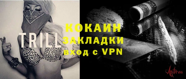 прущие грибы Баксан